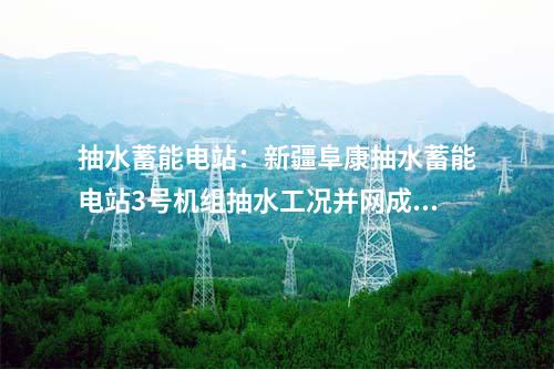 抽水蓄能電站：新疆阜康抽水蓄能電站3號機組抽水工況并網成功